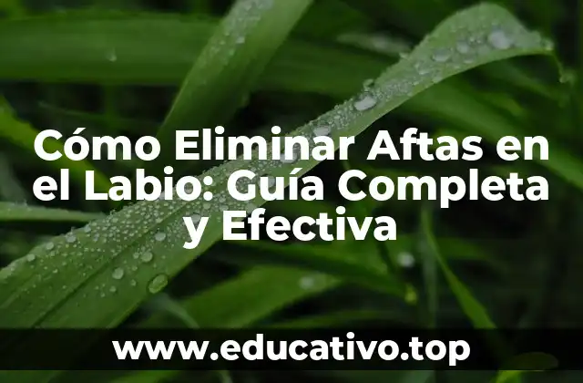 Cómo Eliminar Aftas en el Labio: Guía Completa y Efectiva