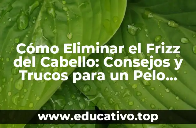 Cómo Eliminar el Frizz del Cabello: Consejos y Trucos para un Pelo Brillante