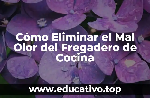 Cómo Eliminar el Mal Olor del Fregadero de Cocina