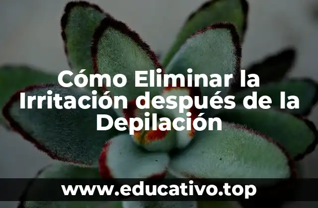 Cómo Eliminar la Irritación después de la Depilación