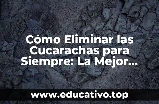 Cómo Eliminar las Cucarachas para Siempre: La Mejor Solución para las Cucarachas
