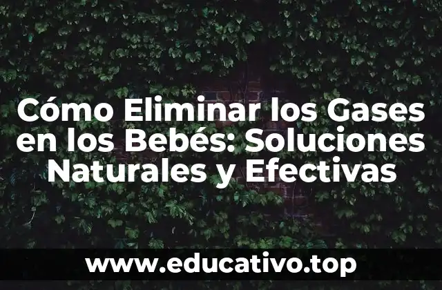 Cómo Eliminar los Gases en los Bebés: Soluciones Naturales y Efectivas