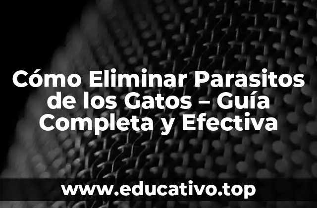 Cómo Eliminar Parasitos de los Gatos – Guía Completa y Efectiva