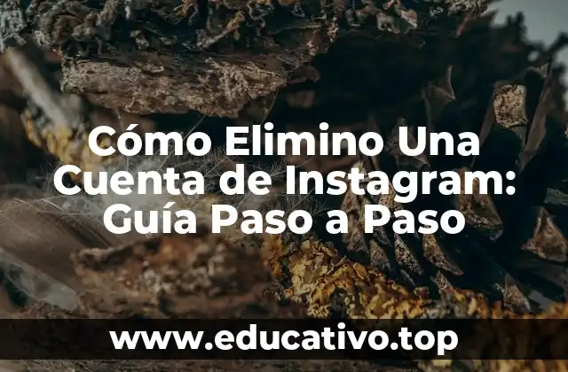 Cómo Elimino Una Cuenta de Instagram: Guía Paso a Paso