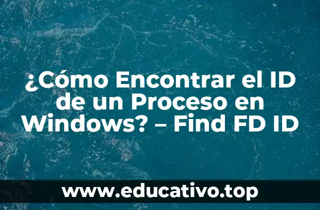 ¿Cómo Encontrar el ID de un Proceso en Windows? – Find FD ID