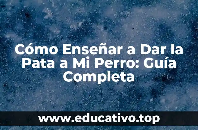 Cómo Enseñar a Dar la Pata a Mi Perro: Guía Completa