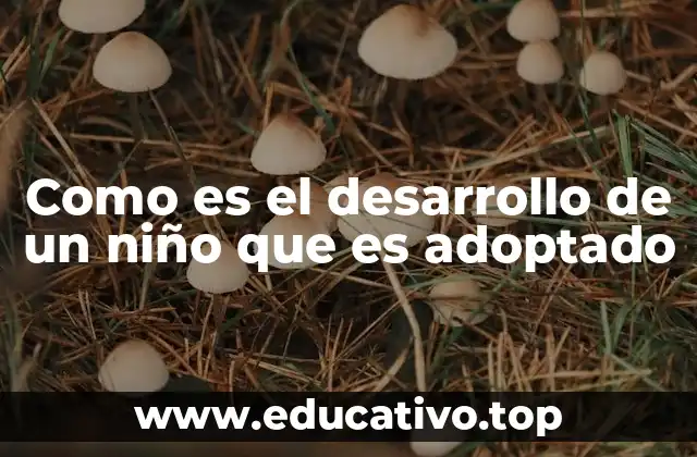 Como es el desarrollo de un niño que es adoptado