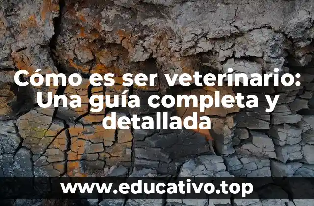 Cómo es ser veterinario: Una guía completa y detallada