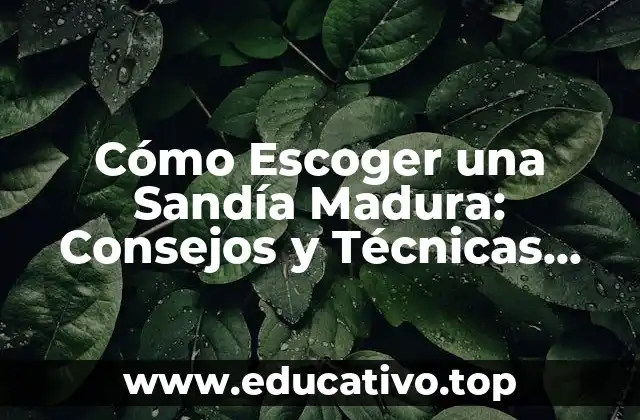 Cómo Escoger una Sandía Madura: Consejos y Técnicas para Eligir la Mejor