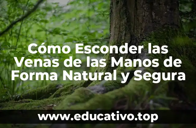 Cómo Esconder las Venas de las Manos de Forma Natural y Segura