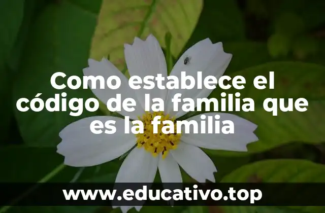 Como establece el código de la familia que es la familia