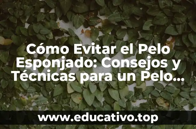 Cómo Evitar el Pelo Esponjado: Consejos y Técnicas para un Pelo Saludable