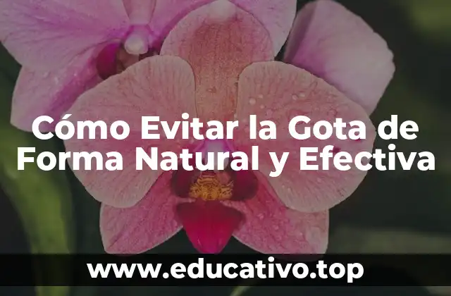 Cómo Evitar la Gota de Forma Natural y Efectiva