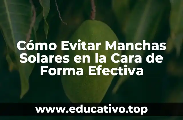 Cómo Evitar Manchas Solares en la Cara de Forma Efectiva