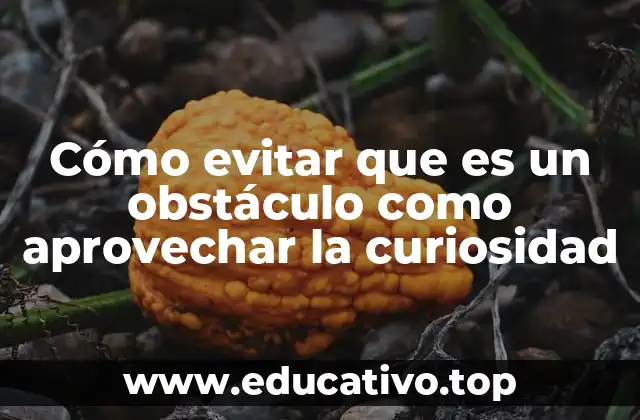Cómo evitar que es un obstáculo como aprovechar la curiosidad