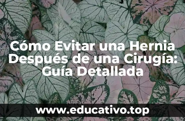 Cómo Evitar una Hernia Después de una Cirugía: Guía Detallada