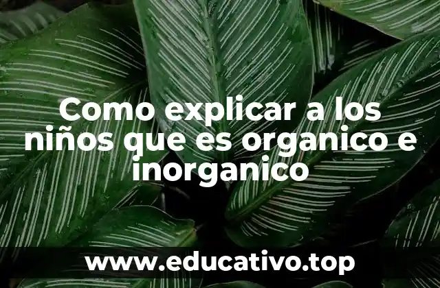 Como explicar a los niños que es organico e inorganico