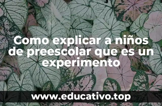 Como explicar a niños de preescolar que es un experimento