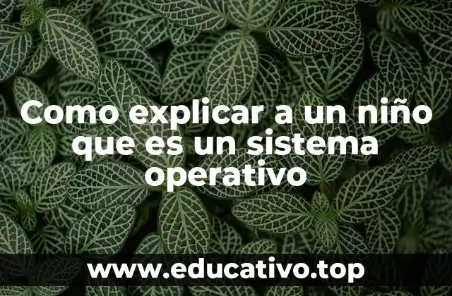 Como explicar a un niño que es un sistema operativo