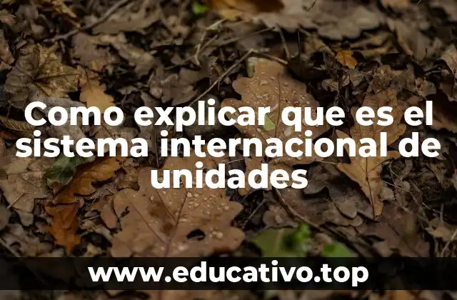 Como explicar que es el sistema internacional de unidades