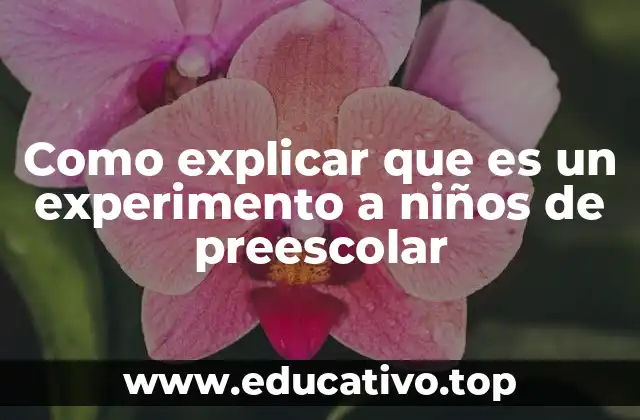 Como explicar que es un experimento a niños de preescolar
