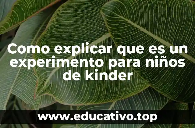 Como explicar que es un experimento para niños de kinder