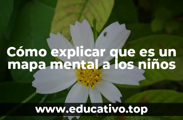 Cómo explicar que es un mapa mental a los niños