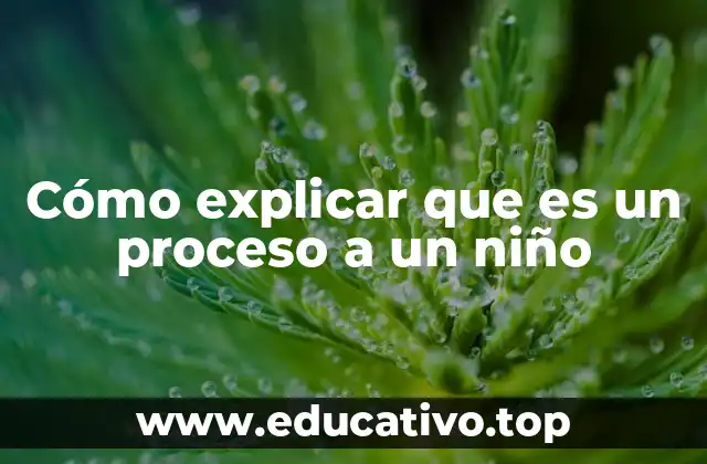 Cómo explicar que es un proceso a un niño