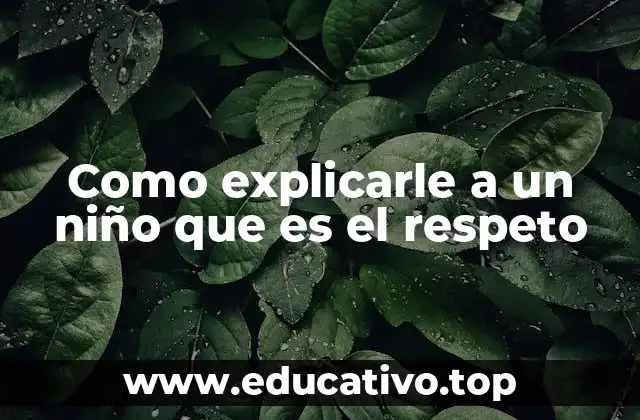 Como explicarle a un niño que es el respeto