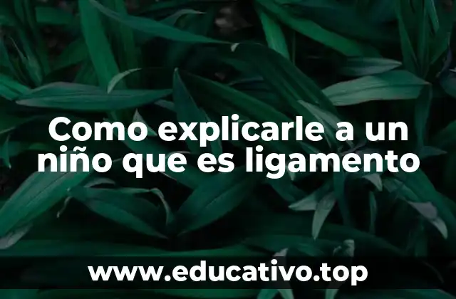 Como explicarle a un niño que es ligamento