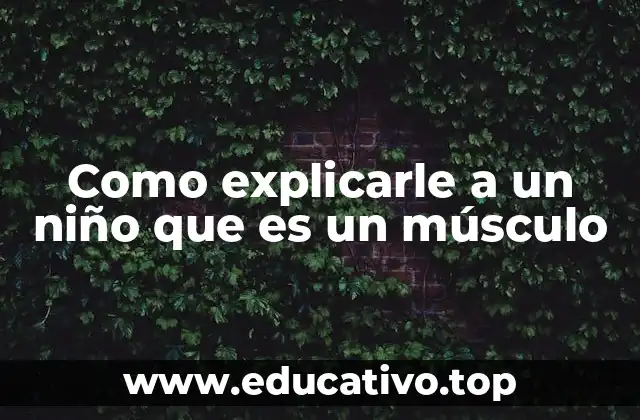 Como explicarle a un niño que es un músculo