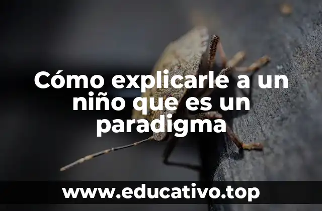 Cómo explicarle a un niño que es un paradigma