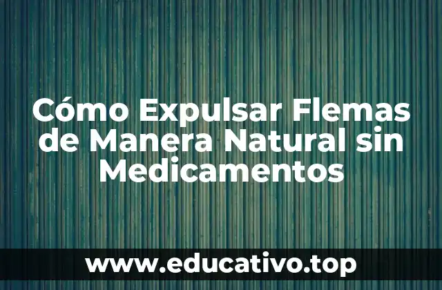 Cómo Expulsar Flemas de Manera Natural sin Medicamentos