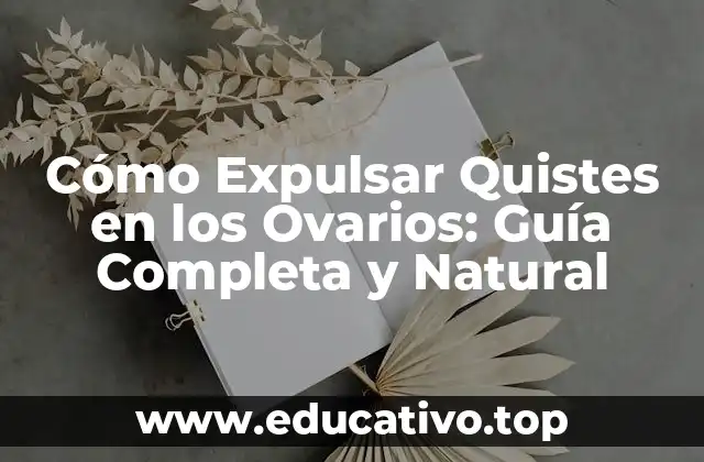 Cómo Expulsar Quistes en los Ovarios: Guía Completa y Natural
