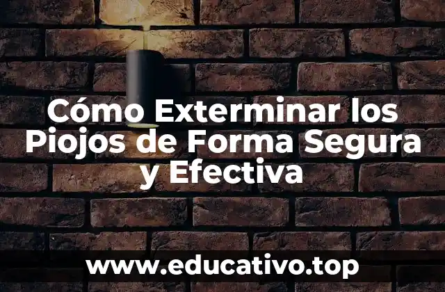 Cómo Exterminar los Piojos de Forma Segura y Efectiva
