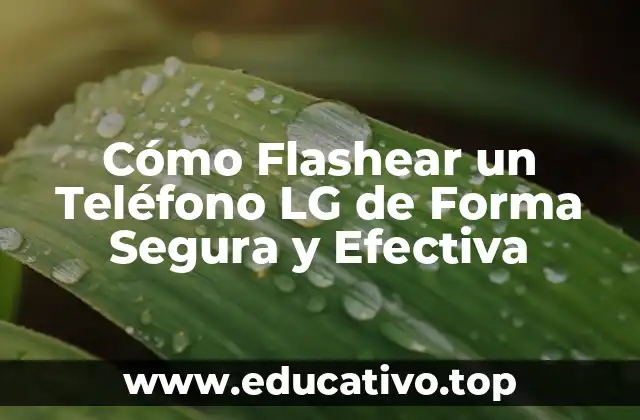 Cómo Flashear un Teléfono LG de Forma Segura y Efectiva