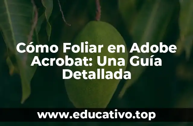 Cómo Foliar en Adobe Acrobat: Una Guía Detallada