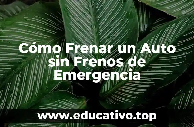 Cómo Frenar un Auto sin Frenos de Emergencia