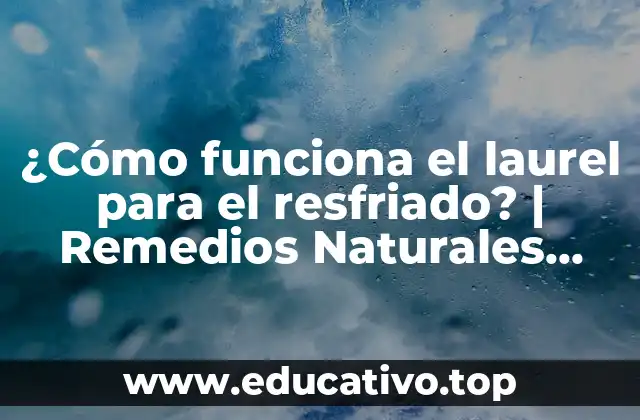 ¿Cómo funciona el laurel para el resfriado? | Remedios Naturales para el Resfriado