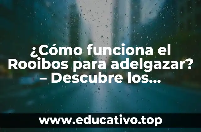 ¿Cómo funciona el Rooibos para adelgazar? – Descubre los beneficios del té rooibos para perder peso de manera saludable