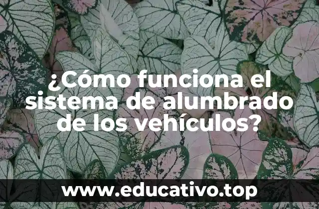 ¿Cómo funciona el sistema de alumbrado de los vehículos?