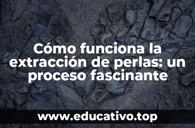 Cómo funciona la extracción de perlas: un proceso fascinante