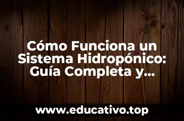 Cómo Funciona un Sistema Hidropónico: Guía Completa y Actualizada