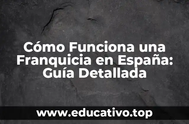 Cómo Funciona una Franquicia en España: Guía Detallada