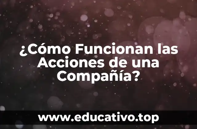 ¿Cómo Funcionan las Acciones de una Compañía?