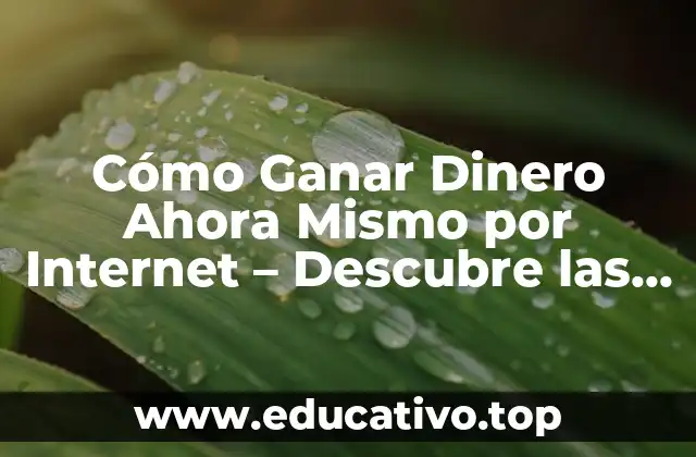 Cómo Ganar Dinero Ahora Mismo por Internet – Descubre las Oportunidades