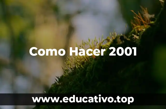 Como Hacer 2001