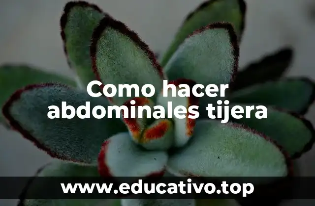 Como hacer abdominales tijera