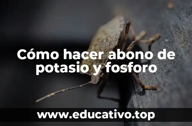 Cómo hacer abono de potasio y fosforo