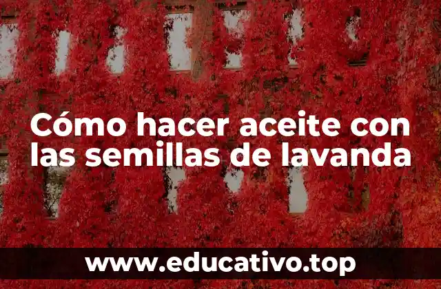 Cómo hacer aceite con las semillas de lavanda